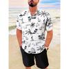 Men's Hawaiian Short-sleeved Shirt And Beach Shorts Set Beach Resort Men's Casual Shirt Summer Everyday Men's Sports Shorts