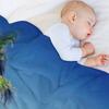 Palm Tree by the Calm Beach Throw Blanket Loose Decorative Beds Sofa Quilt Summer Beddings Blankets