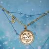 Amano Studio Zodiac Medallion - Capricorn Constellation Necklace Jewelry Capricorn Gift