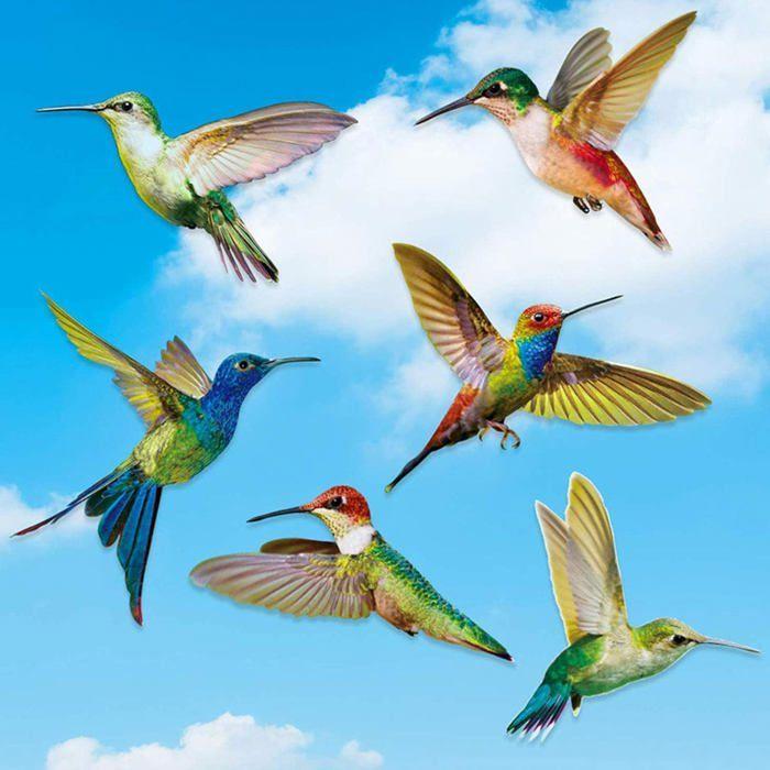 Autocollants fenêtre anti-collision 6 pcs Colibris multicolores – PVC translucide double-face, protection oiseaux