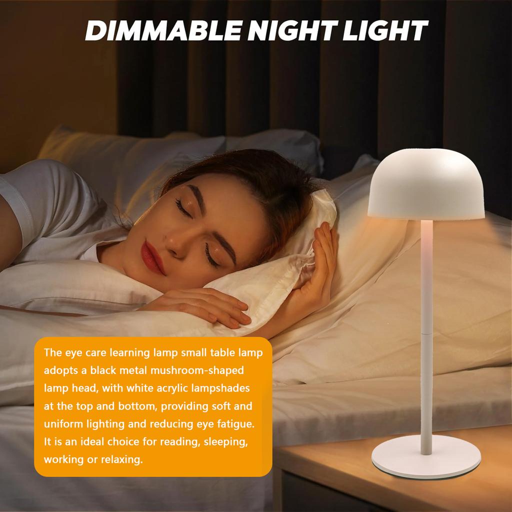 Cordless Table Lamp Rechargeable LED Desk Lamp Bedside Lamp with Detachable Lamp Pole Touch Control