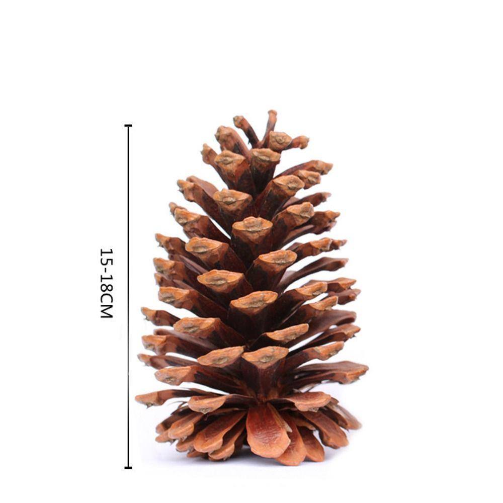 Wreath Western Food Plate Natural Pine Nut Artificial Flower Florist Decoration Wedding Decoration