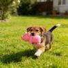 Köpek – Köpek oyuncakları