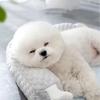 Breathable Dog Beds Soft Smooth Pet Cool Bed Nest Cute Cooling Pet Sleep Mats  Summer