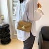 Stylish 2024 Summer Trendy Pu Crossbody Bag For Women Medium Size Shoulder Bag