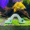 Aquarium Decoration Bridge Garden Decoration Arch Mini Artificial Fish Tank Decoration Aquarium Bridge Ornament PVC Artificial