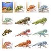 Realistic Lizard Plush Toy Super Soft Short Plush Material Color-changing Chameleon Doll Perfect Gift For Teens