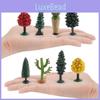 Miniatura de Árvore de Bordo e Modelo de Opuntia Dillenii PVC Decoração de Cena Natural Para Exibição em Casa e no Escritório