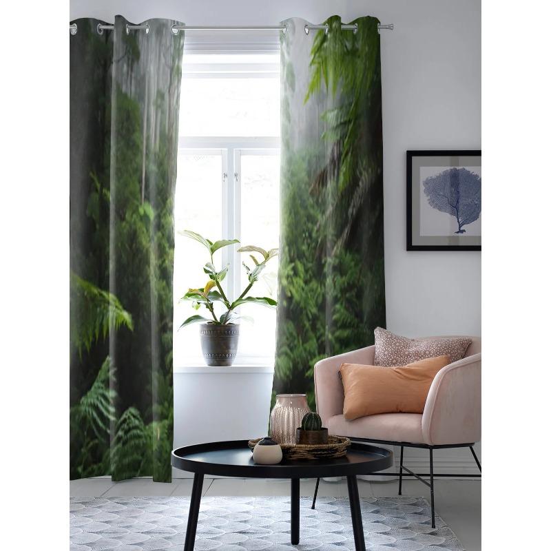 Тропический лес с утренним туманом — фото 3