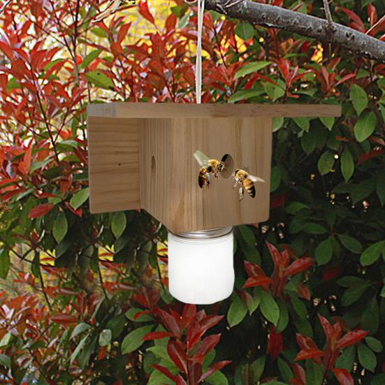 Wood House Carpenter Bee Trap with Clear Bottle Outside Natural Wood Boring Bee