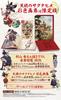 Of Rice and Ruin Limited Edition with Colored Art Book Switch Sakuna -