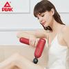 BiKe Smart Fascia Gun Massager CN plug (adapter included)