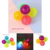 Großhandel Haustierspielzeug Ball Blinkend Und Stachelig Zufällige Farbe Tpr Material