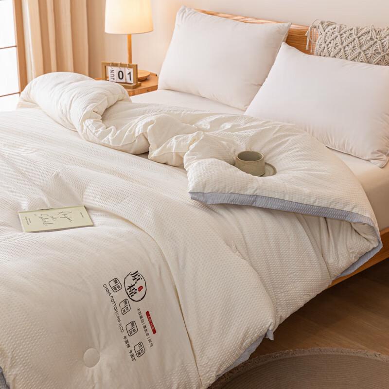 PLOVER Seersucker Soy Blend Winter Quilt