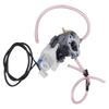 Carburetor Assembly Kit Garden Accessory for EU3000IS 16100ZL0D66 16100‑ZL0‑D66