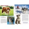 Psy Rasowe Podręczna Encyklopedia Dla Dzieci Książka O Psach Prezent 96 Str