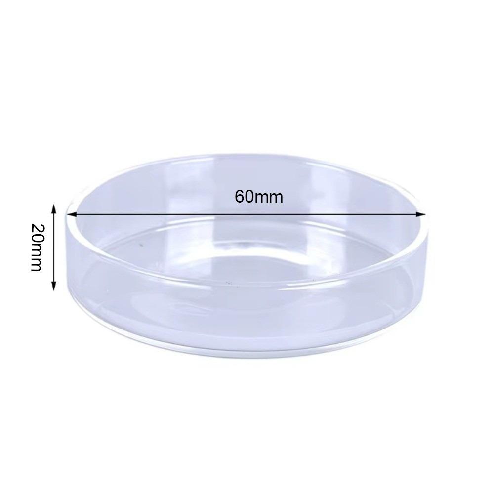 

Transparent Aquarium Feeding Bowl Durable Fish Feeder Tray for Baby Fish Shrimp 60mm