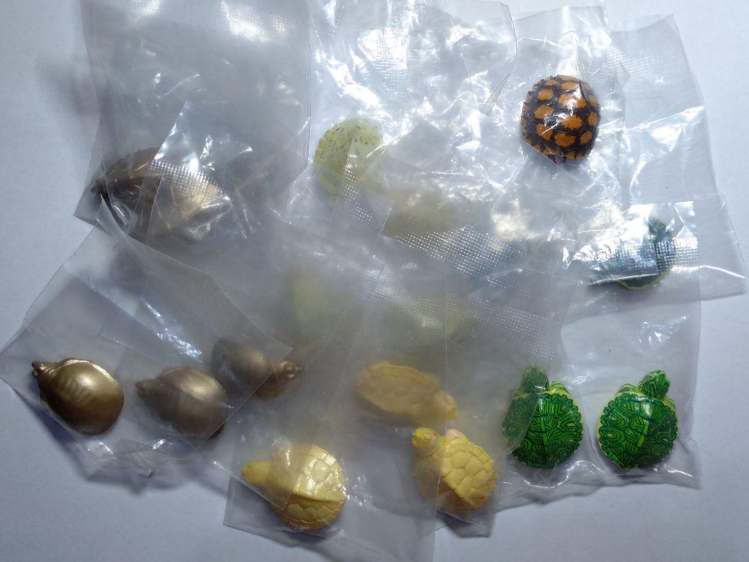 

[USED] Wallet Turtle 2 Turtle Figure