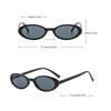 Women Vintage Oval Sunglasses Fashion Leopard Brown Print Stylish Sun Glasses Female Colorful Shades Eyewear