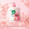 Dettol Feuchtigkeitsspendende Handwaschseife Doppelpack