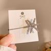 Star Silver Star-Shaped Hairpin Korean Temperament Versatile Flash Diamond Edge Clip One-Word Clip Hair Accessories