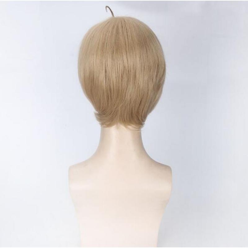 35cm Short Wig Cosplay Anime APH Hetalia Axis Powers America Alfred F Jones Costume Heat Resistant Synthetic Hair Men Women Wigs