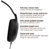 Panasonic RP-HT161-K Headphones Matte Black (1 Pack)