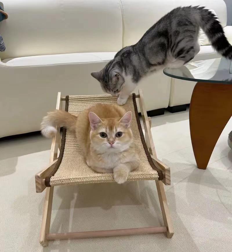 Cat Bed, Cat Climbing Frame, Pet Lounger, Four Seasons Universal Cat Scratch Board, Adjustable Cradle Bed, Summer Cat Sofa