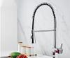 TLXT Kitchen Spring Pull-out Faucet