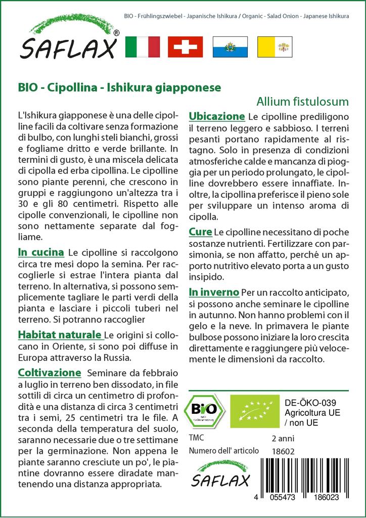 SAFLAX Garden In the Bag - Organic - Salad Onion - Japanese Ishikura - 150 Seeds - With Substrate In a Fitting Stand Up Bag - Allium Fistulosum