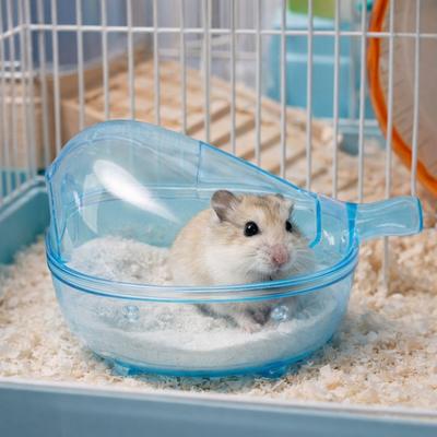 Transparent View Hamster Bathtub Large Space Hamster Sand Bathroom  for Hamster Squirrel Gerbille