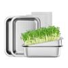 Stainless Steel Bean Sprout Cultivation Set Seedling Tray Hydroponic Cat Grass Tray Planting Tray Rectangular Planting Tray