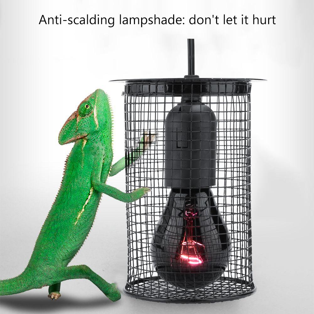 Square Reptile Anti Scald Lamp Cover for Heating Light Reptile Protection