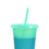720ML Water Bottle Temperature Sensor Food Grade PP DIY Craft Color Changing Straw Water Tumbler