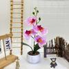 Multicolor Simulation Flower Potted White Flowerpot Faux Potted Plant Orchid  Office Decoration
