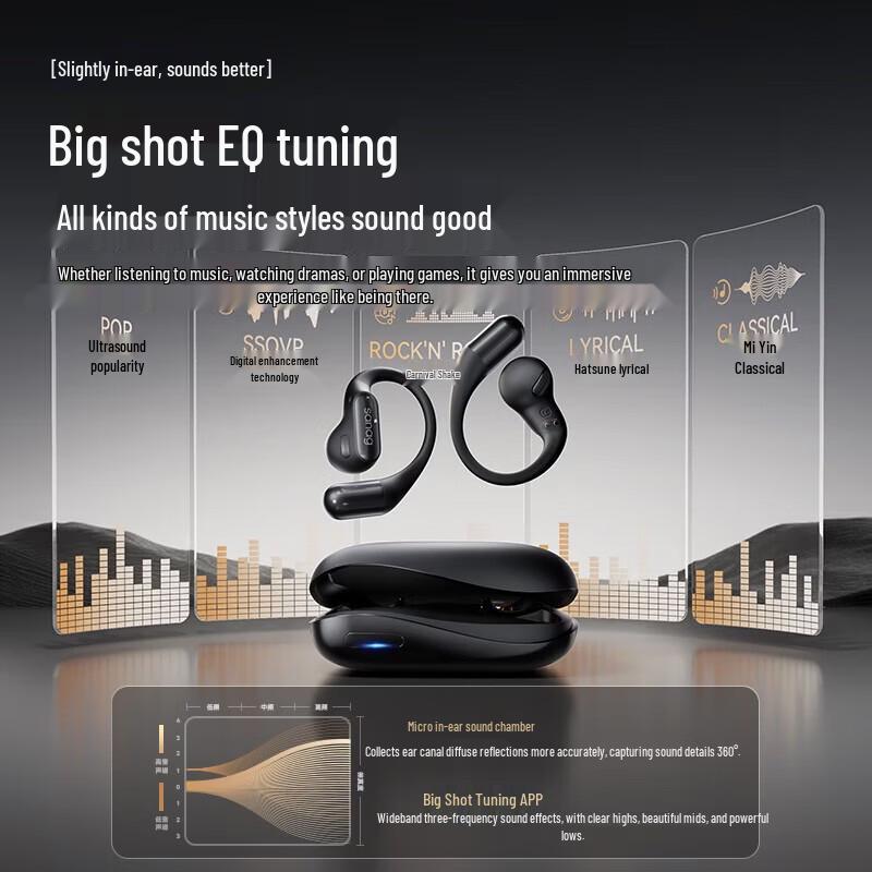 SANAG G6S Ear-Hook Bluetooth Wireless Headphones