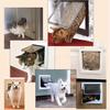 Smart RFID Pet Door for Cats and Dogs - Controllable Entry/Exit