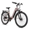 VAE - Maxtron Marathon - Motor 250W - Bateria 36V 22,5Ah - Autonomia 150 km