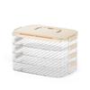 Large Capacity Multi-layer Dumpling Freezer Storage Box with Timer
