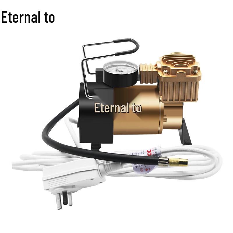 Yongzhi Electric Double Cylinder Air Pump