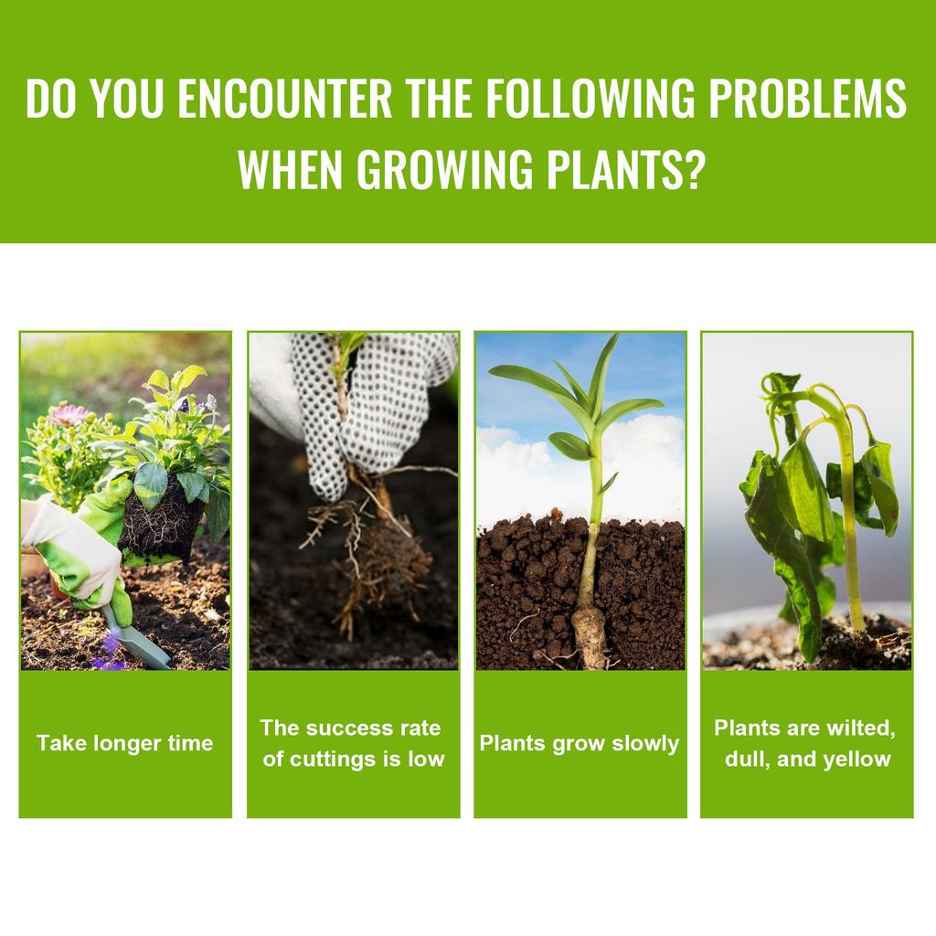 Plant Growth Enhancer Supplement for Promotes Rooting Concentrated Magic Fertilizers Solution for Promote Photosynthesis