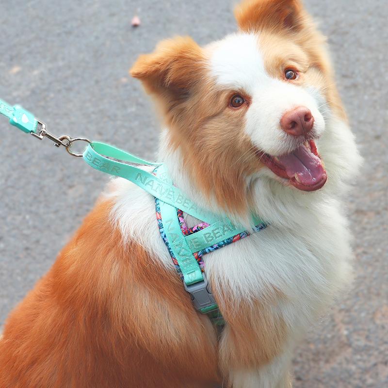 Colorful Floral Printing Padded Harness for Dogs Adjustable No-pull Nylon Pet Walking Training Vest for Small Medium Large Dogs