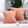 Textured Weaving Throw Pillow Covers Boho Farmhouse Geometric Cushion Cover for Home Living Room Couch Bed Chair Decor