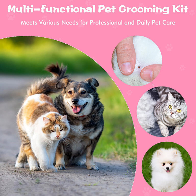 Pack of 6 Flea and Lice Combs, Stainless Steel Rabbit Dog Cat Grooming Comb with Round Teeth, Double-sided Professional Pet Tear