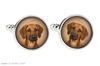 Rhodesian Ridgeback, African Lionhound, African Lion Dog - Cufflinks, a Shirt Accessory, a Shirt Pendant from the Art-Dog Brand