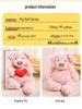 Barnaby Pig Plush Toy - Cute Jellycat Stuffed Animal Doll, Perfect Gift and Popular Online Celebrity Trend