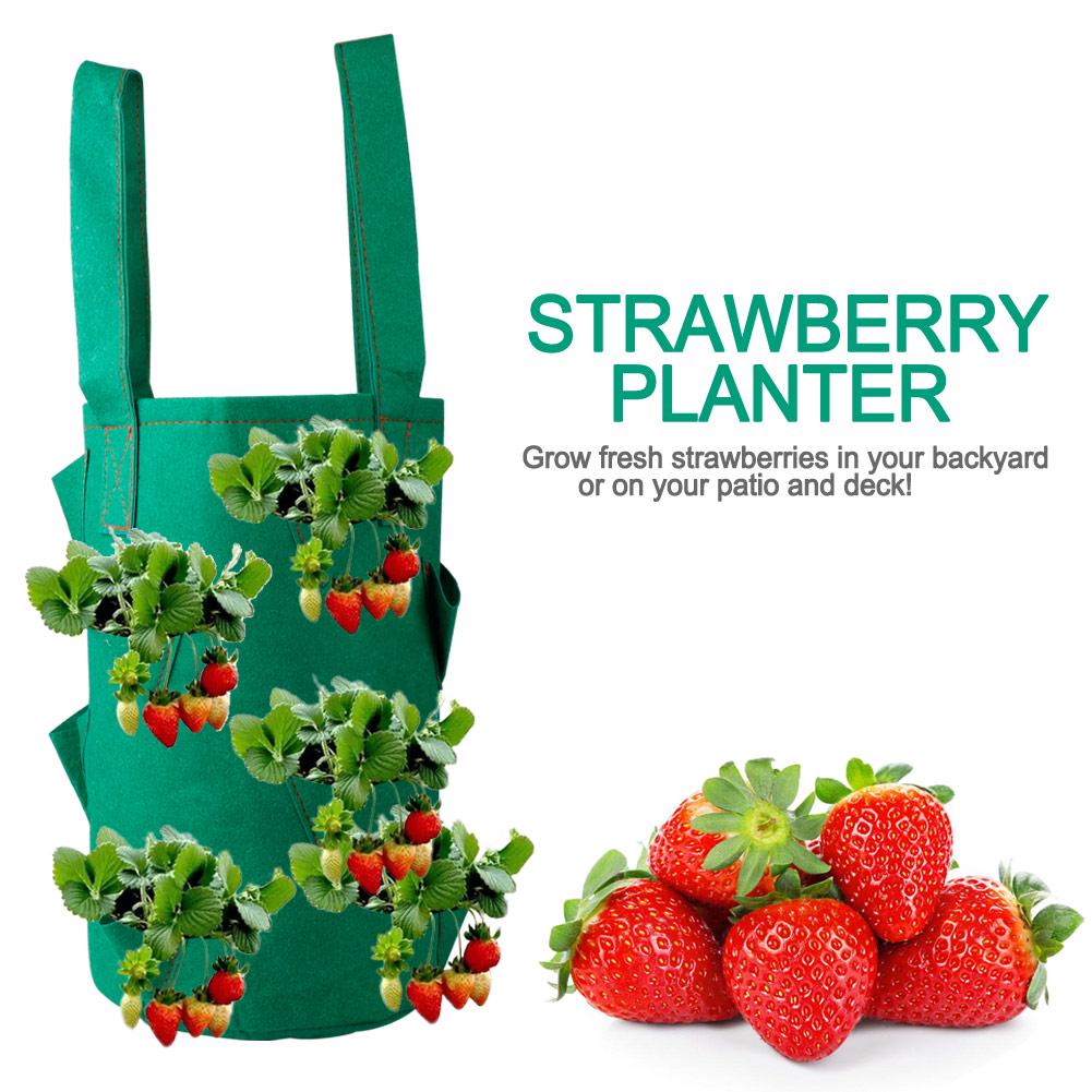 Fabric Hanging Planter Grow Bag Plant Pouch Tomato Strawberry Flower Herb U S Fabric Hanging Planter Grow Bag Plant Pouch Tomato Strawberry Flower Herb U S