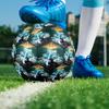 Elder-Ring Indoor Soccer Ball Size 5 Colorful All Ages Machine Stitched PVC Competition Ready Durable High-Bounce