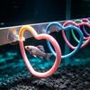 Suction Cup Mounted Hoop Set for Betta Fish, 6 Piece Swim Through Accessory for Small Water Habitat Display and Daily Activity Detail