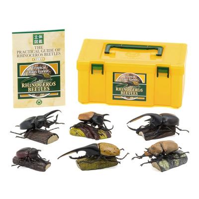 Carolata 3D Encyclopedia Real Figure Box (Stag Beetles  6 Species) Rhinoceros Beetle (with Manual)